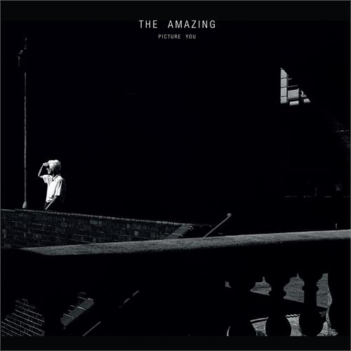 Amazing Picture You (2LP)